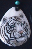 /album/fotogaleria/sam-0365-jpg1/