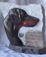 /album/fotogaleria/sam-0063-jpg1/