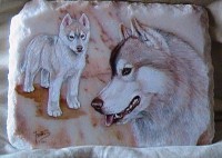 /album/fotogaleria/sam-0172-jpg/