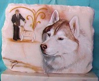 /album/fotogaleria/sam-0219-jpg/