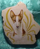 /album/fotogaleria/sam-0325-jpg1/